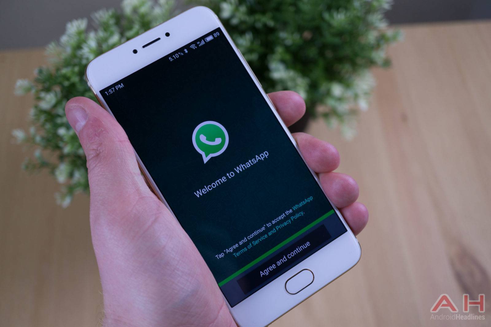 WhatsApp Akan Mengembalikan Status Teks Minggu Hadapan
