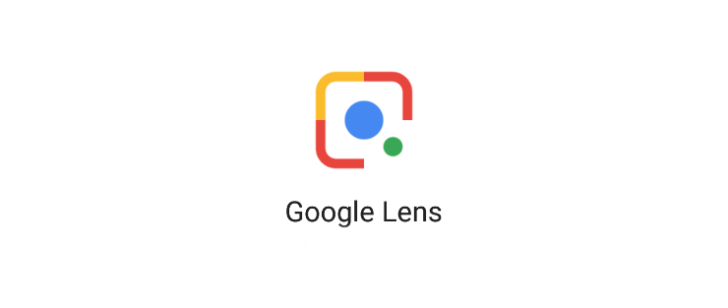 Google Lens Kini Boleh Mengenal Pasti Baka Kucing Dan Anjing Anda