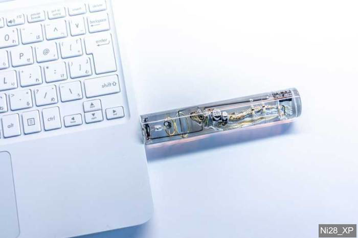 Pelajar Kimia Jepun Berjaya Tukar Otak Anak Ikan Kepada Storan USB
