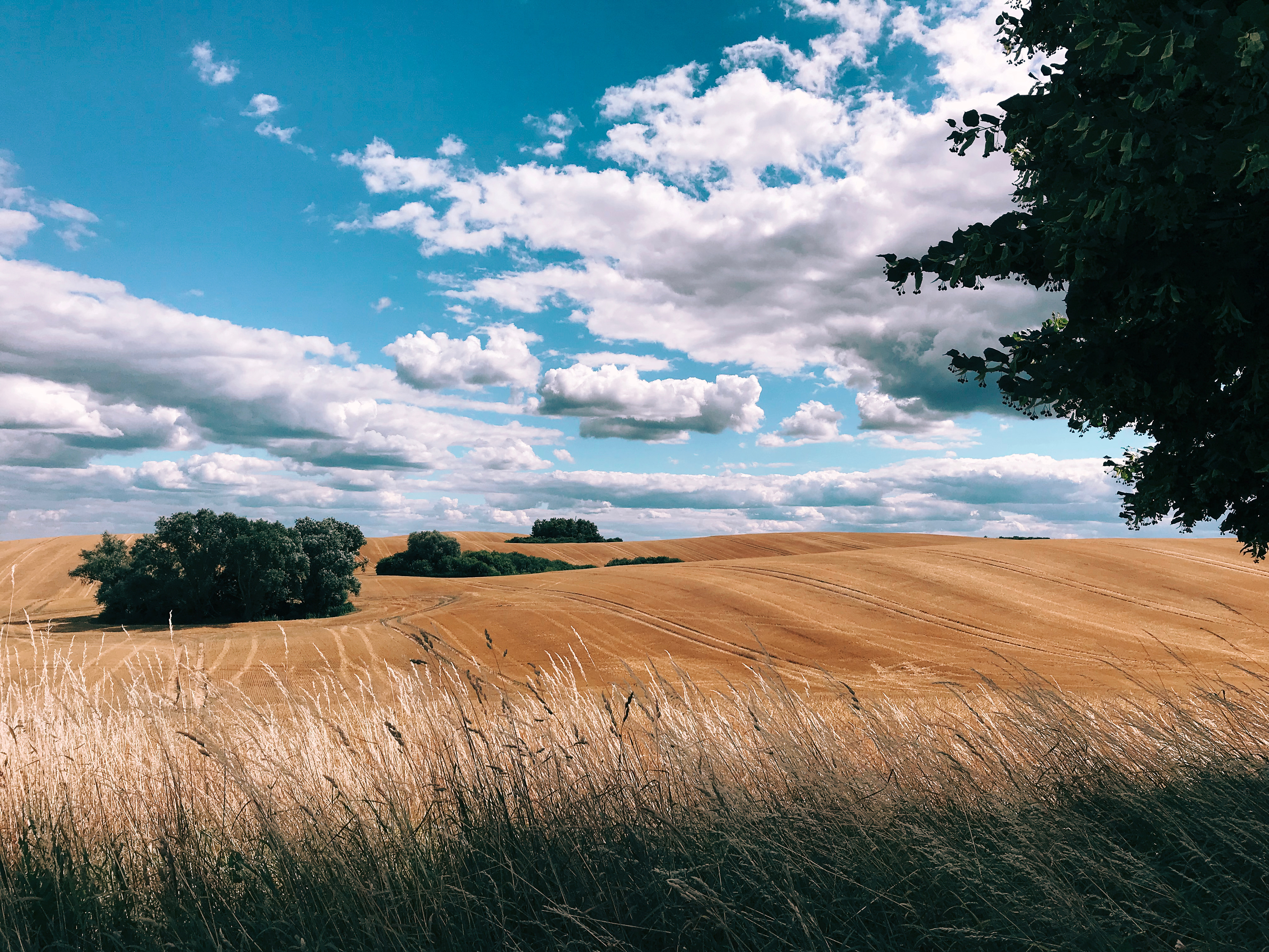 10 Pemenang Pertandingan “Shot on iPhone” Diumumkan Oleh Apple
