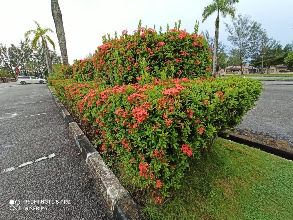 [Ulasan] Redmi Note 8 Pro – Perlu Sangatkah Versi Pro?