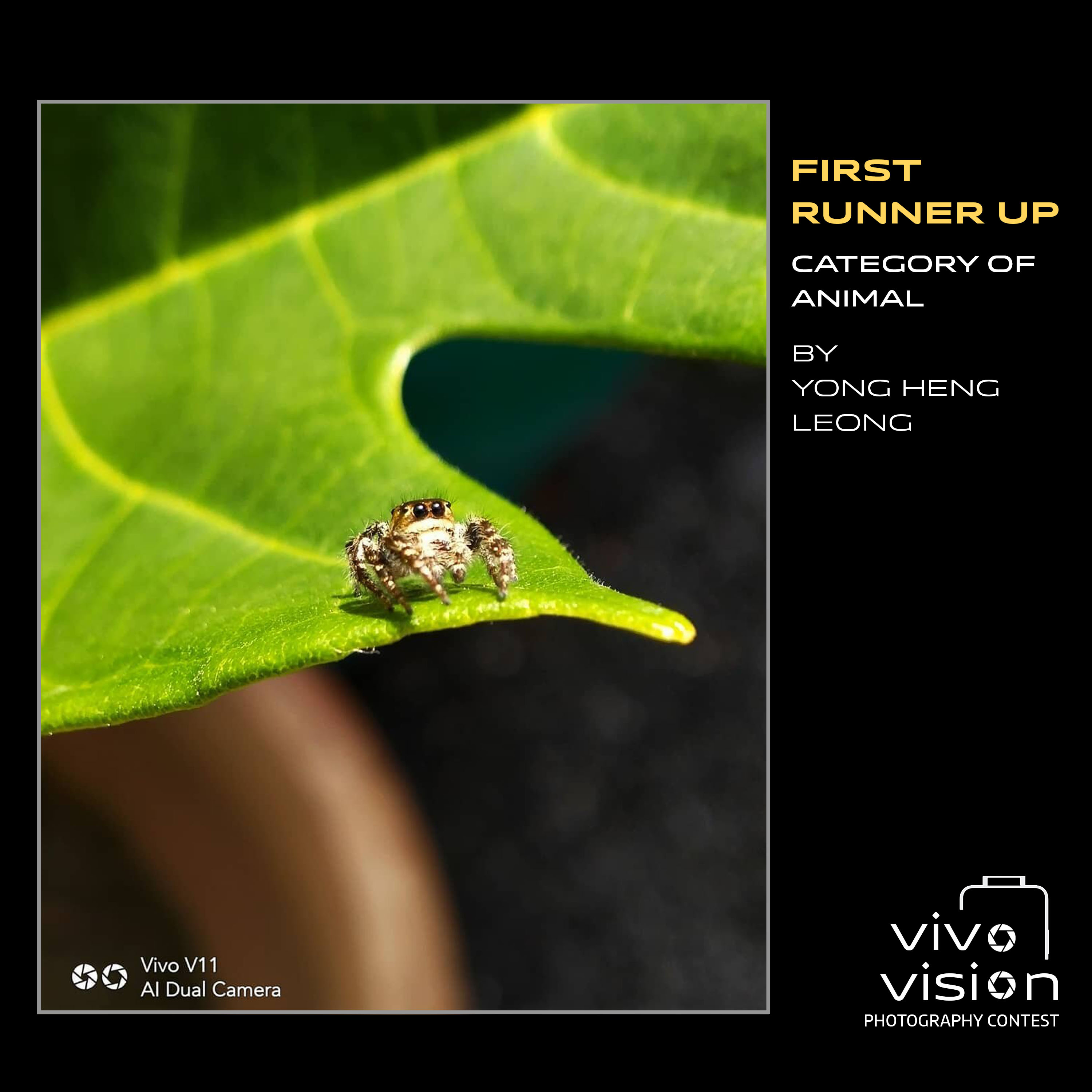 animal 1st runner up_yonghengleong