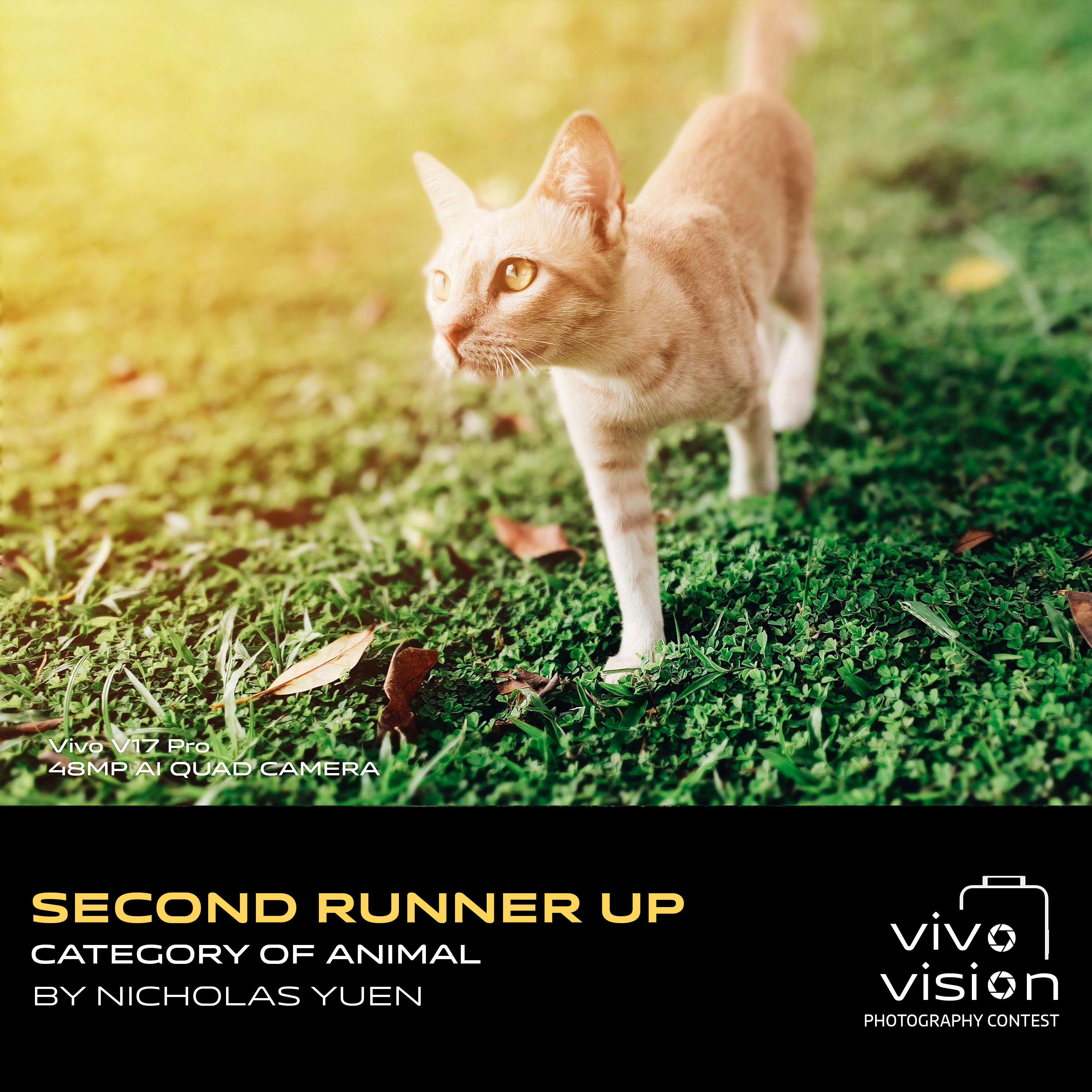 animal 2nd runner up_nicholas yuen