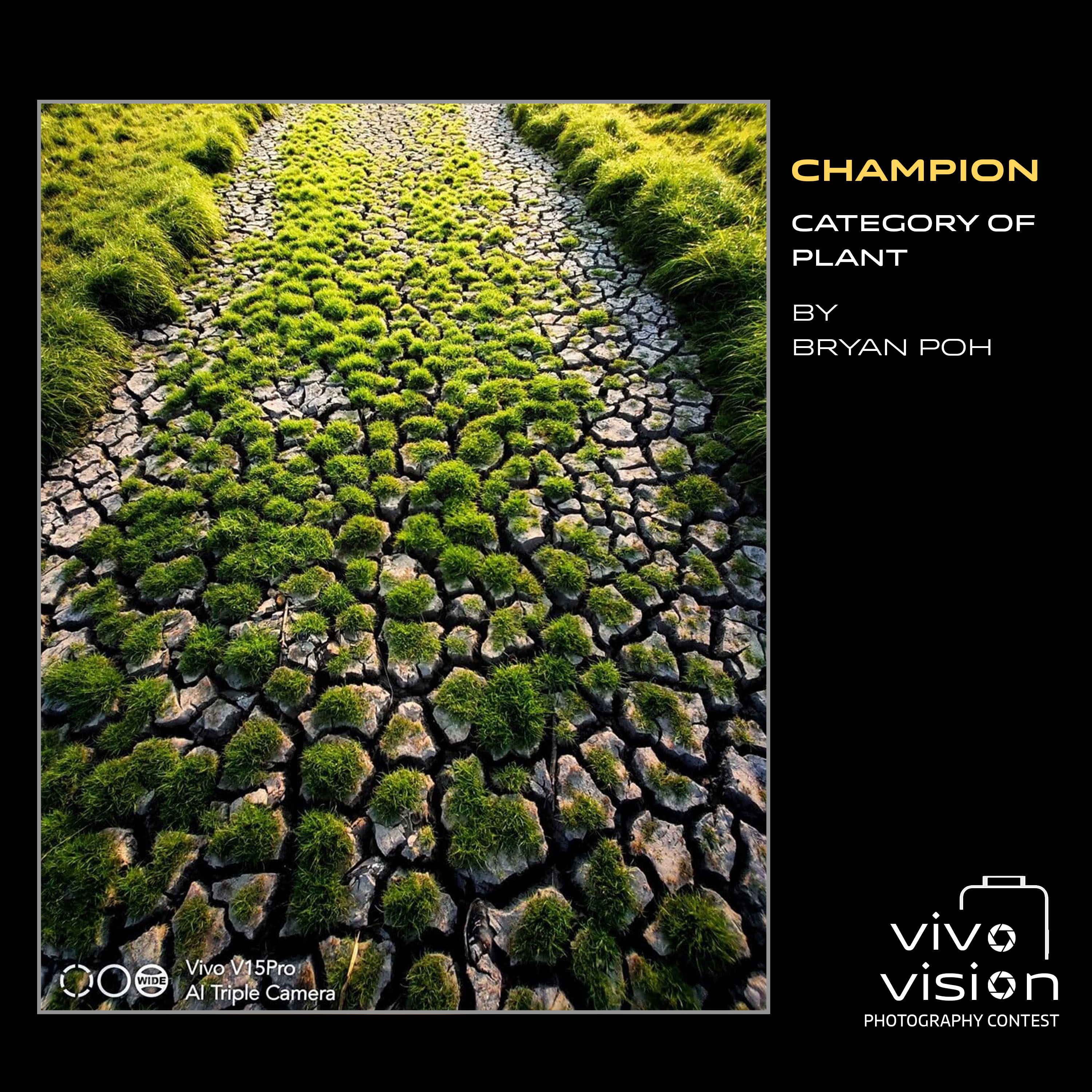 plant champion_bryan poh
