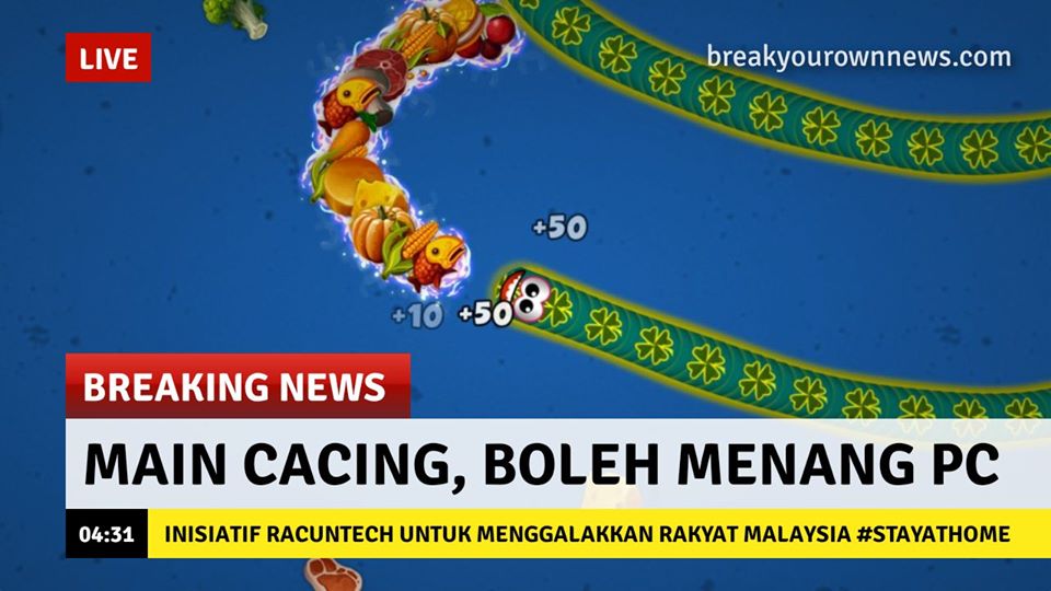 Worms Zone